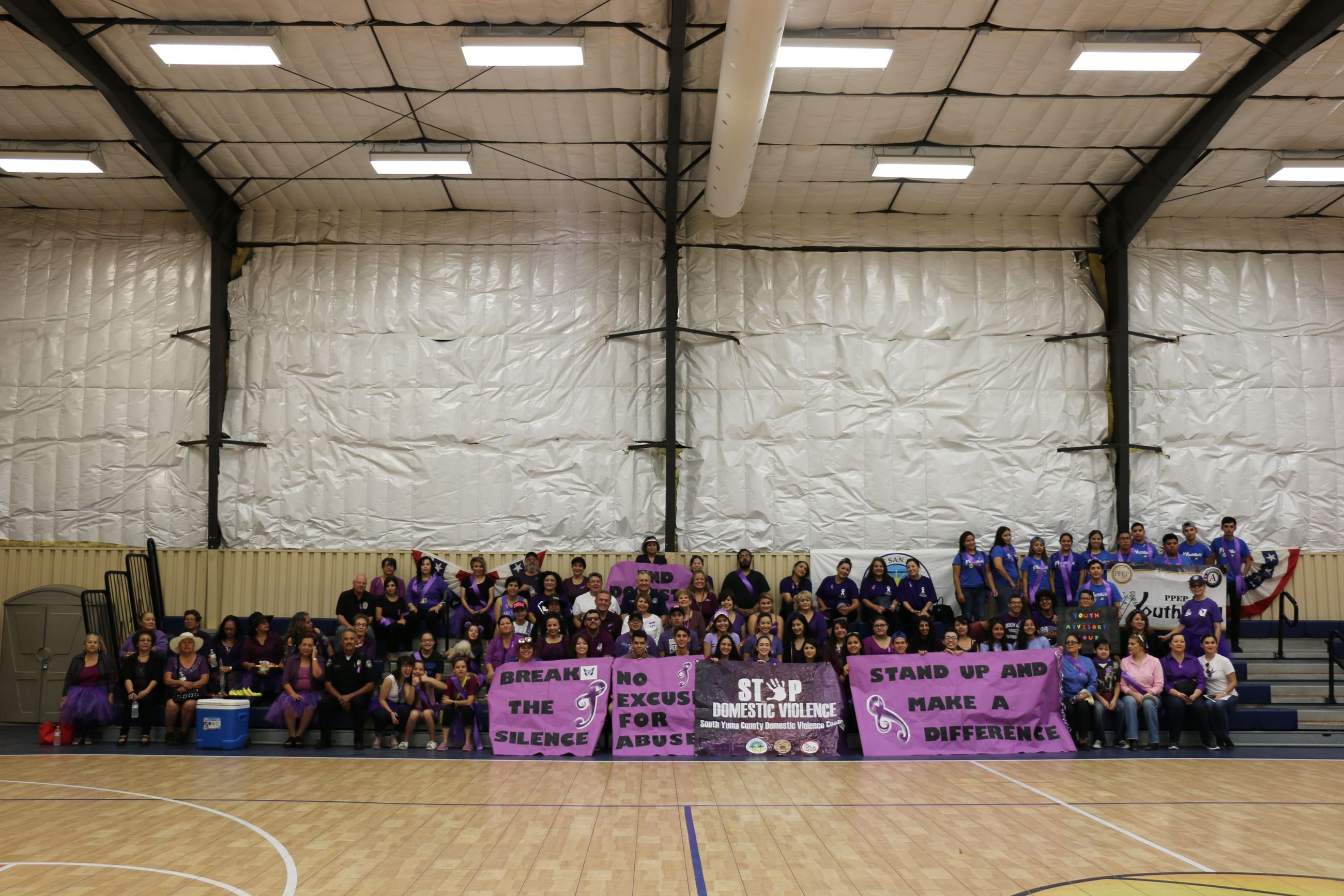 Domestic Violence Walk