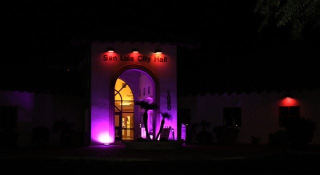 City Hall Pink and Purple